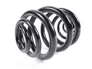 Genuine BMW Rear Coil Spring  - E46 M3
