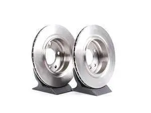 Rear Brake Rotors - Pair (294x19)