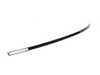 Genuine European BMW Genuine European BMW Left CSL Roof Moulding - E46 323Ci 325Ci 328Ci 330Ci M3 51137897925 View 1