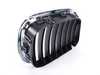 Genuine BMW Genuine BMW Grille - E53 X5 51138402645 View 2