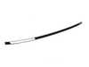 Genuine European BMW Genuine European BMW Right CSL Roof Moulding - E46 323Ci 325Ci 328Ci 330Ci M3 - (NO LONGER AVAILABLE) 51137897926