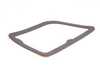 Genuine BMW Genuine BMW Inner Tail Light Gasket - Left - E70 X5 xDrive35d, E70 X5 xDrive30i, E70 X5 xDrive48i, E70 X5 M 63217288973 View 1