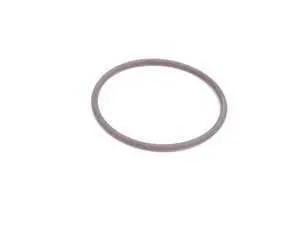 Genuine BMW O-Ring - 11421435020 - E53