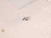 Genuine BMW Genuine BMW Lower Seat Pad - E36 52108122076 View 4