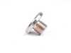 ZF Transmission Drain Plug 24117507555 View 6