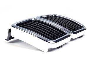 Genuine BMW Kidney Grille Assembly