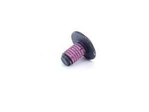 Torx Screw