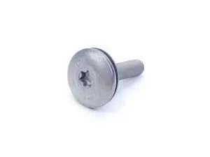 Genuine BMW Fillister Head Screw 07147072901