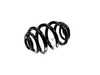 Genuine BMW Genuine BMW Rear Coil Spring - E46 330i 328i 33531094742 View 2