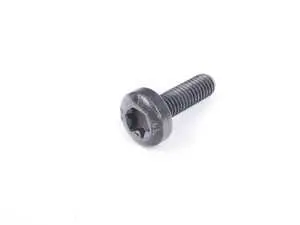 Genuine BMW Torx Screw - 24347519356