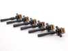 Packaged by Turner OEM Ignition Service Kit - M52 M54 M5XTISKT View 3