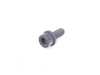 Genuine BMW Genuine BMW Fillister Head With Washer - 07119901913 - E46,E46 M3 07119901913 View 1