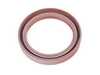 Genuine BMW Genuine BMW Transmission Gasket Set 23111224925 View 7