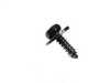 Genuine BMW Genuine BMW Sheet Metal Screw St4,8x16-c - 07119901311 07119901311 View 5