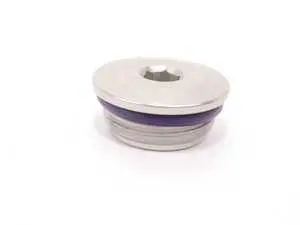 Genuine MINI Screw Plug With Gasket