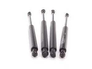 Hood And Trunk Strut Kit