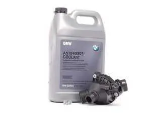 Genuine BMW Thermostat Replacement Kit