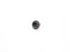 Genuine BMW Genuine BMW Sunroof Repair Kit - Right Water Channel 54128202280 View 4