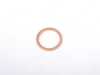 Elring Fischer and Plath Gasket Ring  07119963201 View 1
