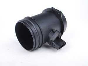 Mass Air Flow Sensor (MAF)