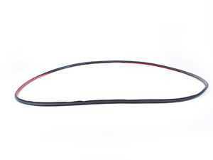 Genuine BMW Front Outter Door Weather Strip - E90 E91