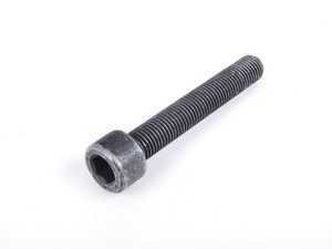 Caliper Mounting Bolt - Priced Each