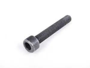 Caliper Mounting Bolt - Priced Each