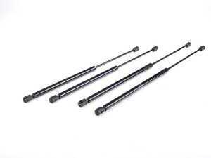 Hood And Hatch Strut Kit