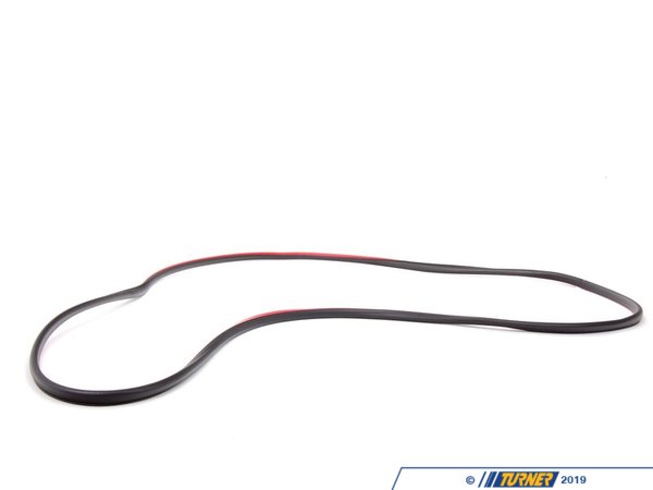 Genuine BMW Genuine BMW Front Outer Door Seal - Right 51338194696