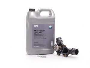 Thermostat Replacement Kit