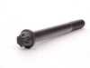Genuine BMW Torx Bolt for Vibration Damper - E46 M3, MZ3, Z4 M Roadster M Coupe 11231402608 View 1