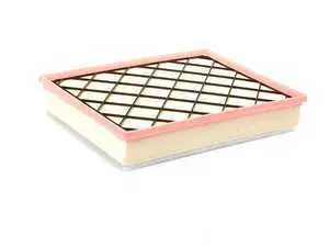 Genuine BMW Engine Intake Air Filter - E70 X5 xDrive35d