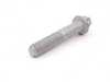 Genuine BMW Genuine BMW Torx Bolt - 23001222888 23001222888 View 2