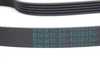 Genuine European BMW Genuine BMW Ribbed V-Belt 5K X 880 - 11281402334 11281402334 View 2