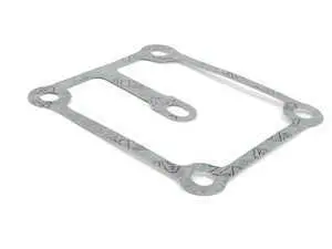 Victor Reinz VANOS Gasket - E39, E52