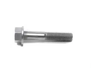 Genuine BMW Hex Bolt - 07119904529