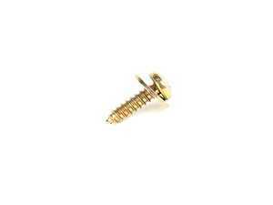 Genuine BMW Fillister Head Self Tapping 07119907948