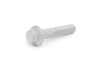 Genuine MINI Hexagon Screw With Flange - 07131172101