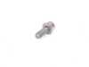 Genuine BMW Genuine BMW Torx-bolt With Washer - 07129904819 07129904819 View 2