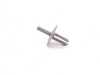 Genuine BMW Genuine BMW Expanding Rivet L=15mm Grau - 51113418689 - E83 51113418689 View 3