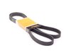 Continental Conti Tech Accessory Belt - Alternator/Water Pump/Power Steering Belt - E36, Z3 11281437880 View 1