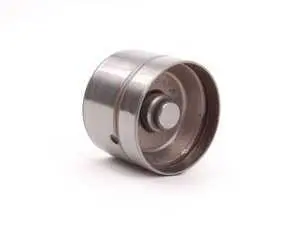 Genuine BMW Hydraulic Lifter - M62 4.4L M62 4.6L
