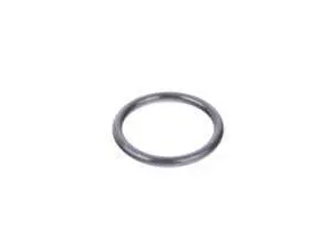 Rein Cooling O-Ring - E53, E60, E63, E64, E65, E66, E70