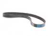 Genuine MINI Accessory Belt Kit 11287566789KT View 2