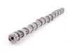 Genuine BMW Genuine BMW N54 3.0L Camshaft Exhaust - 11317584804 11317584804 View 1