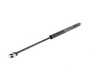 Genuine BMW Genuine BMW Hood Strut - E36 325i 328i 318ti 318i M3 Sedan  51231960852 View 1
