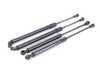 Stabilus Hood And Trunk Strut Kit 51248222913KT View 1
