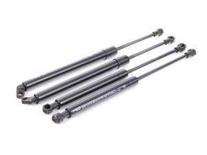 Hood And Trunk Strut Kit
