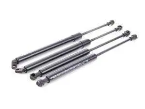 Hood And Trunk Strut Kit