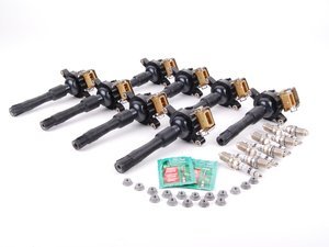 OEM Ignition Service Kit - M62 4.4L 4.6L